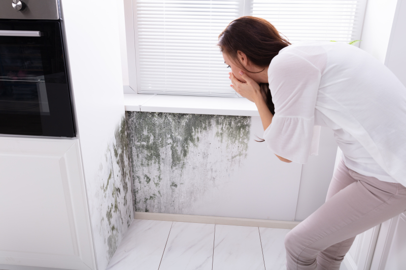 29836425-woman-looking-at-mold-on-wall
